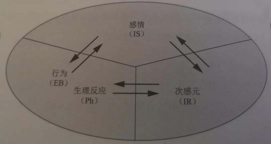 交易心理训练100条规则,交易心理分析怎么样