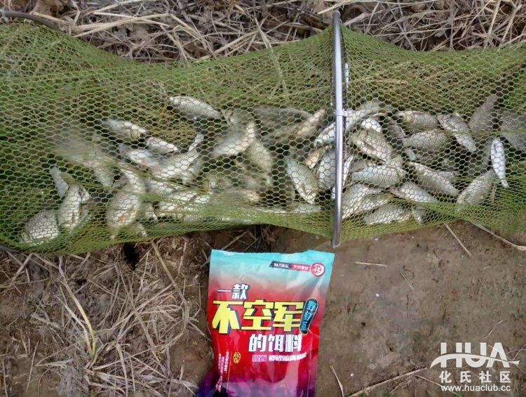 化氏不空军糊味,化氏不空军谁代工的