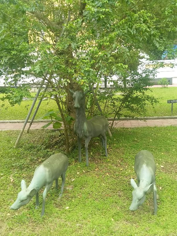 港岛虎豹别墅,香港虎豹别墅全景图