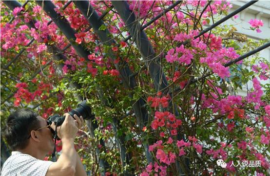 采花大盗逃到哪里了,采花大盗来访