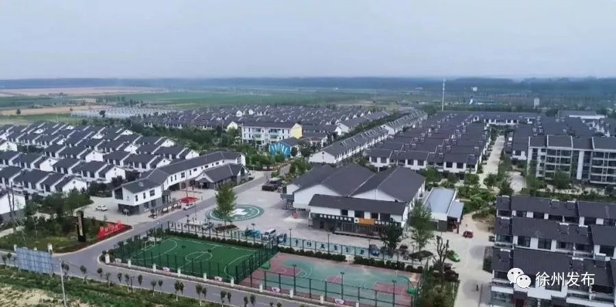 专题调研三农工作,到农业农村局调研三农工作