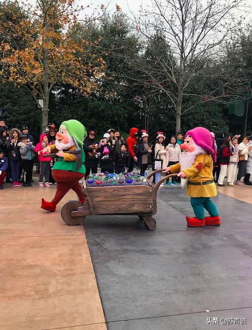 迪士尼有台风可以改期吗,上海迪士尼台风后开放了吗