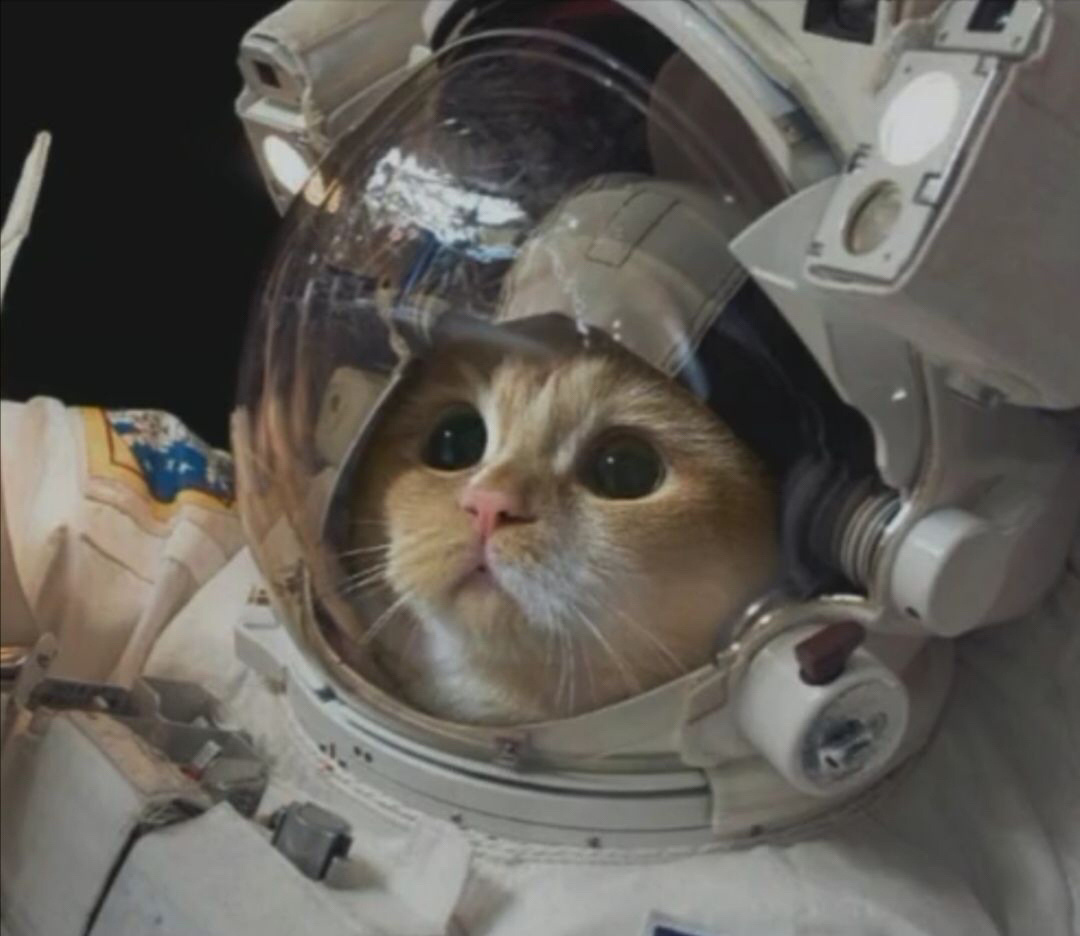 好看的微信聊天背景图男生,微信聊天背景图超清苹果