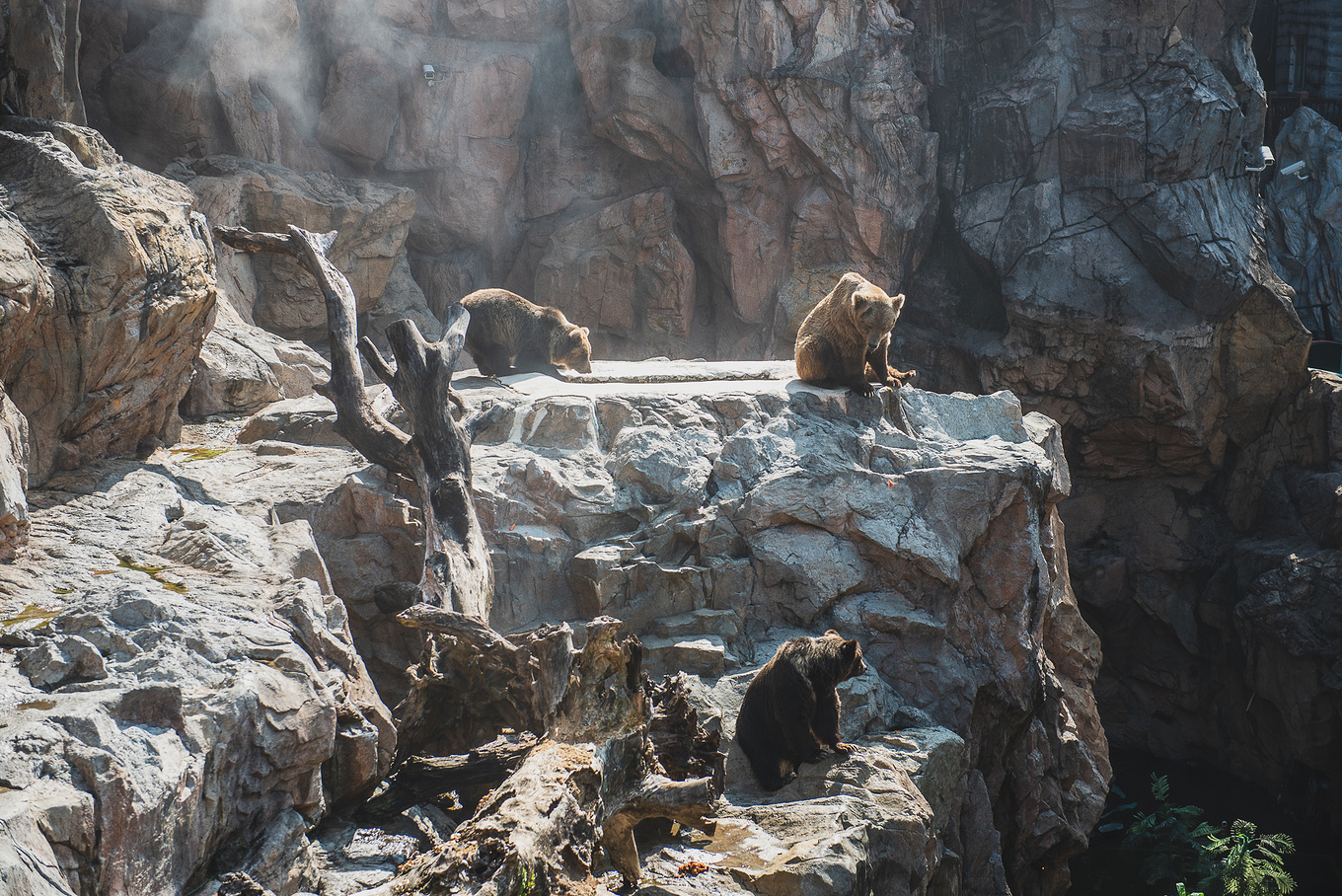 珠海长隆龙秀适合小朋友看吗,珠海长隆海洋王国值得打卡的地方