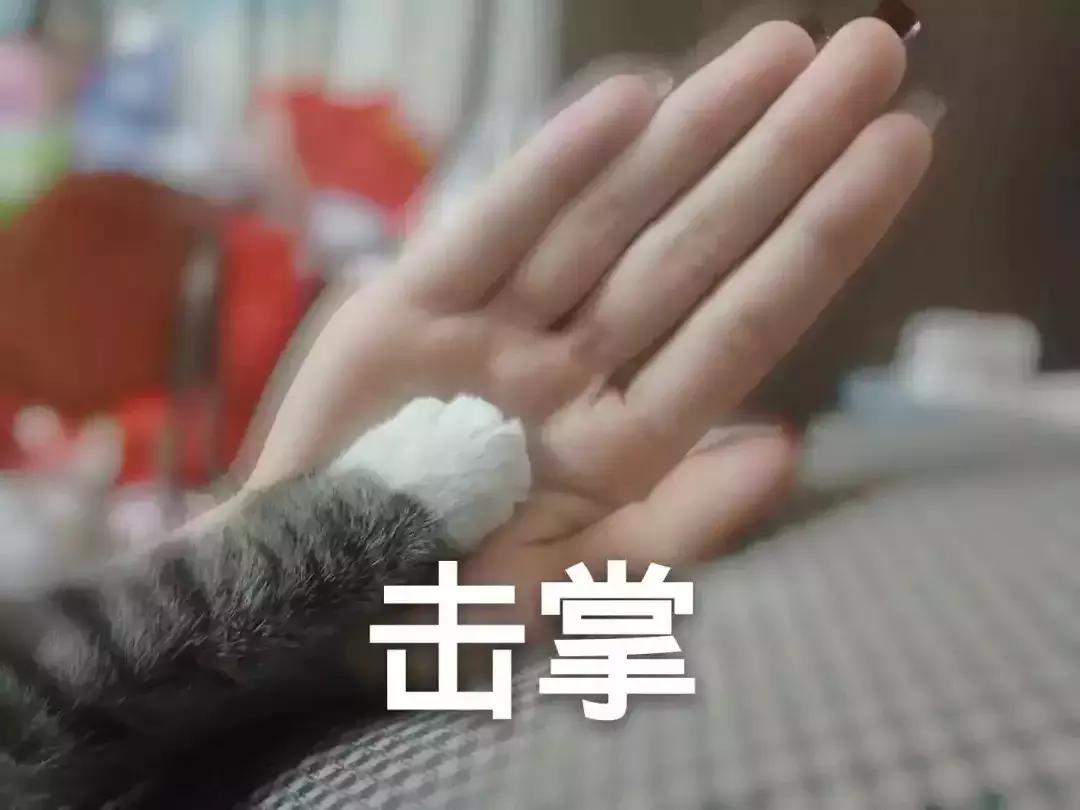 故宫文化产品爆款,故宫又出网红爆款