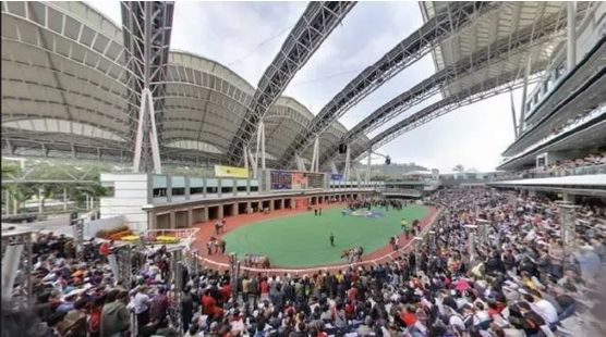 香港赛马持续百年，缘何经久不衰？