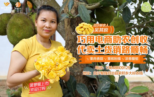 果肉饱满香甜浓郁白沙荣邦吴其貌线上销售菠萝蜜助农增收销路畅