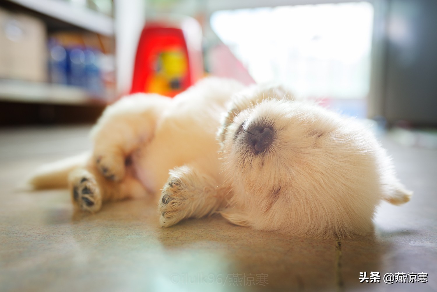 宾得理光镜头通用吗,宾得理光手动镜头推荐