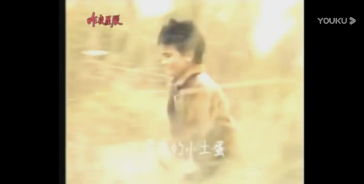 昨夜星辰原唱陈淑桦,昨夜星辰翻唱版陈玉莲