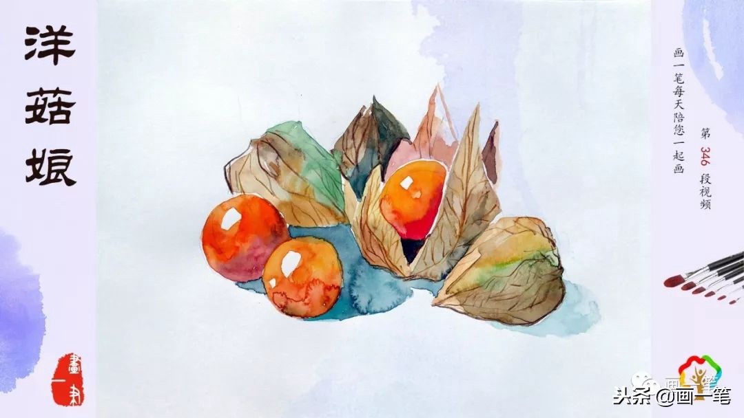 用彩铅简单画法画榴莲,彩铅画画昆虫