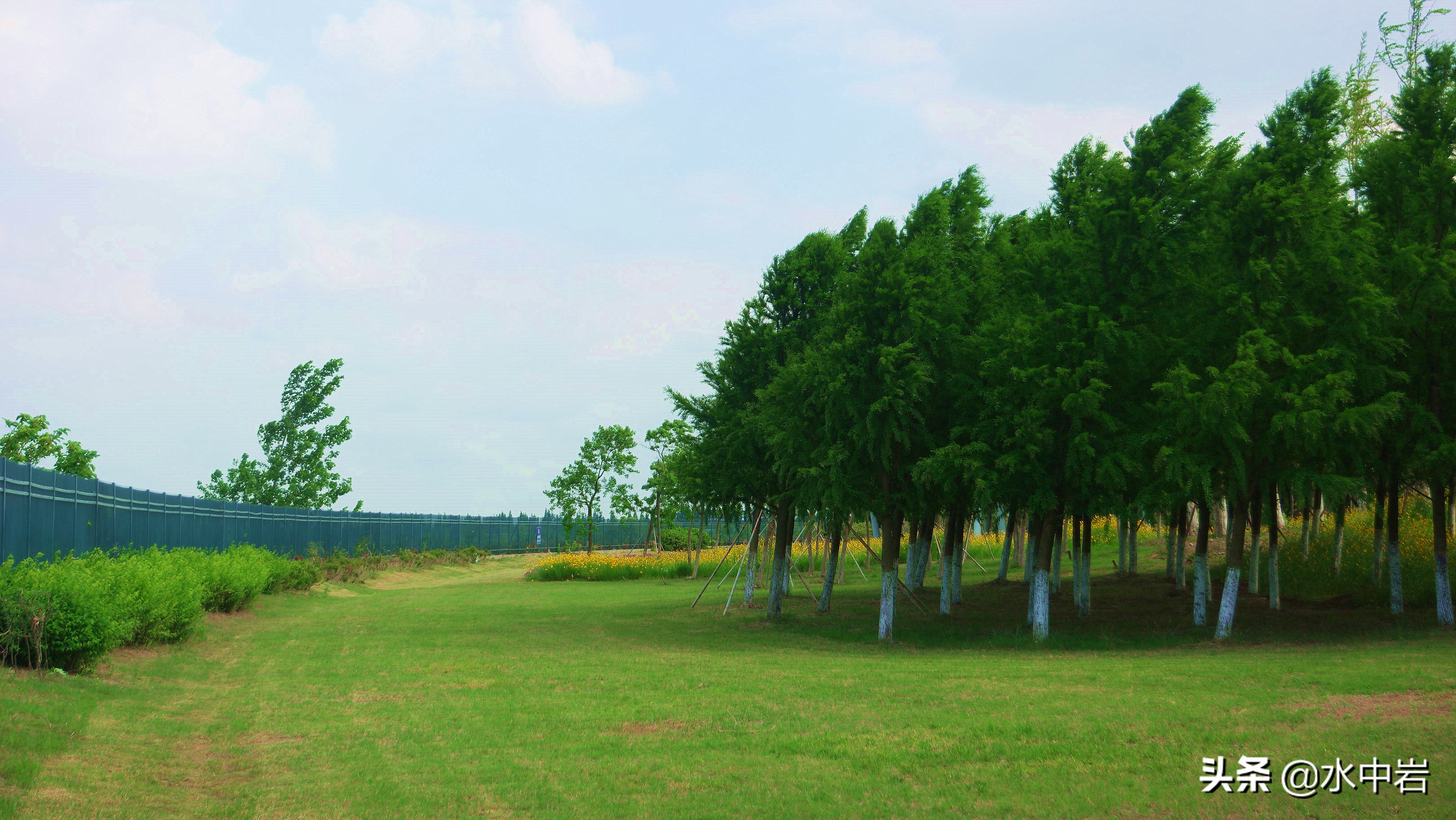 长江流域发生了几次大型洪涝灾害,江苏历史上遭遇的洪水