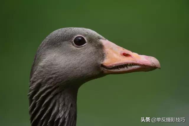 比较好的长焦镜头,关于摄影必须知道的