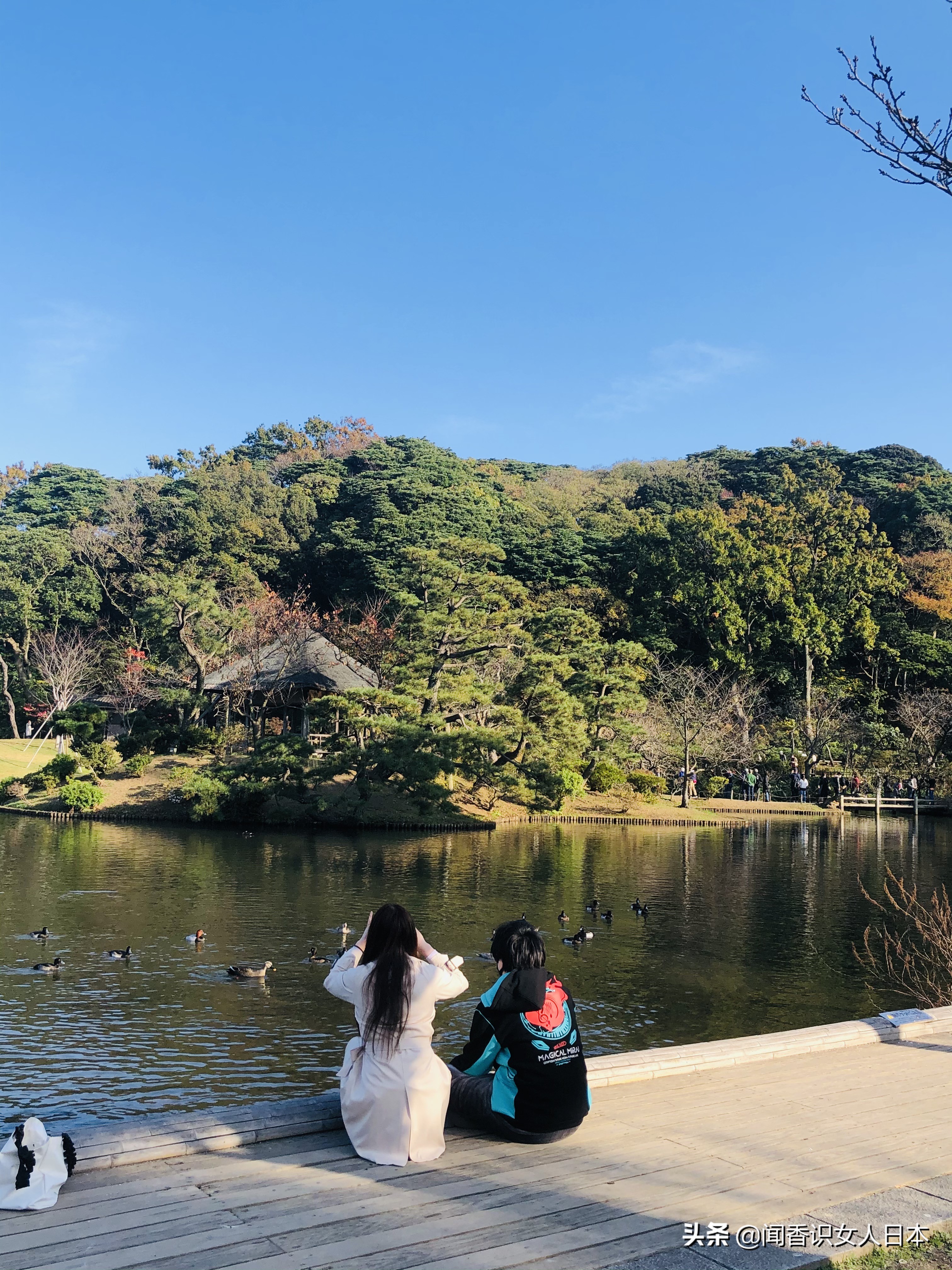 横滨三溪园,横滨三溪园介绍