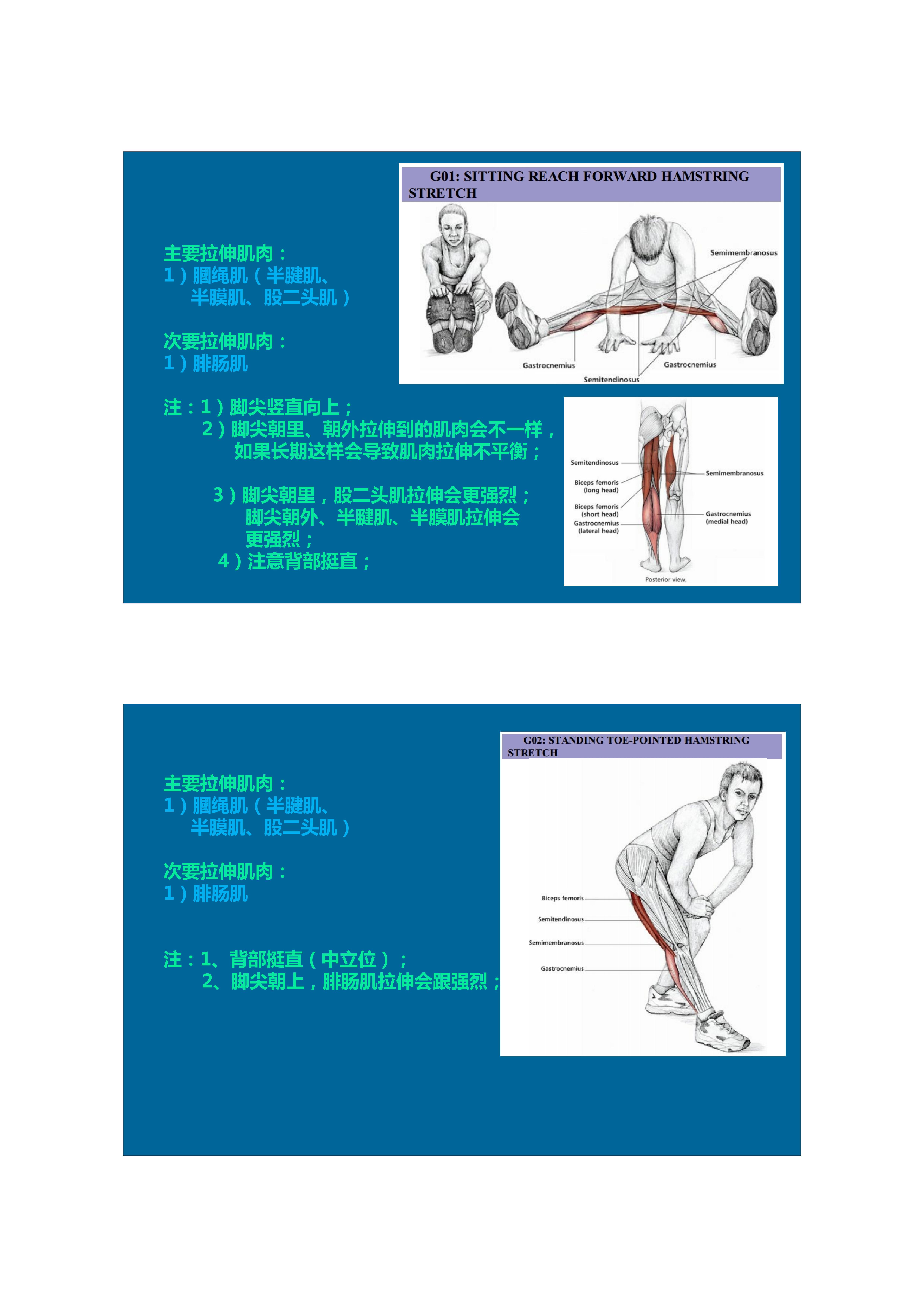 1分钟拉伸动作视频,拉伸腿部技巧