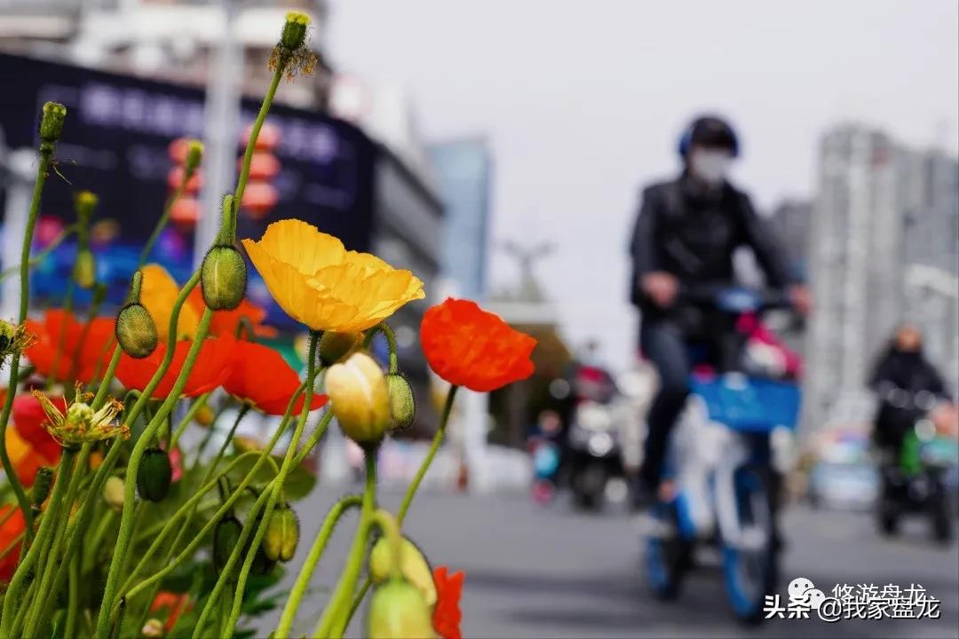 100张照片一百种幸福,100张图片带你去云南