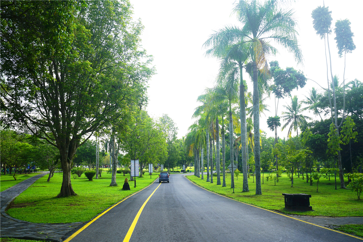 印度尼西亚的历史与文化,印度尼西亚文化体验