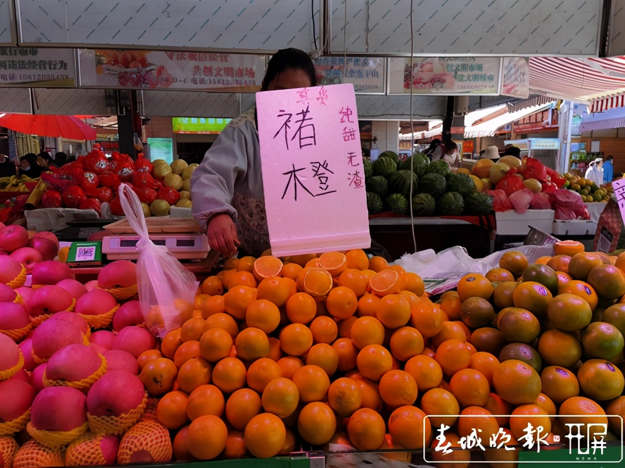 褚橙售卖期,褚橙最新发货消息