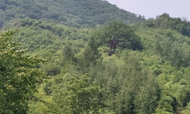 鞍山市岫岩县十大旅游景点,鞍山市岫岩十大旅游景点