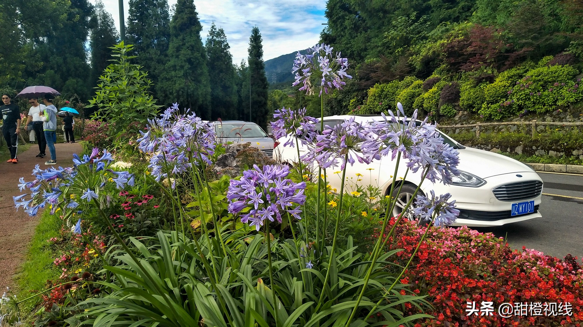 峨眉山七里坪周边有什么景点,峨眉半山七里坪网红打卡地