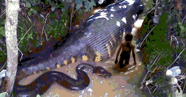 世界上最大的蛇大战豹子,世界上最大最长的眼镜王蛇响尾蛇