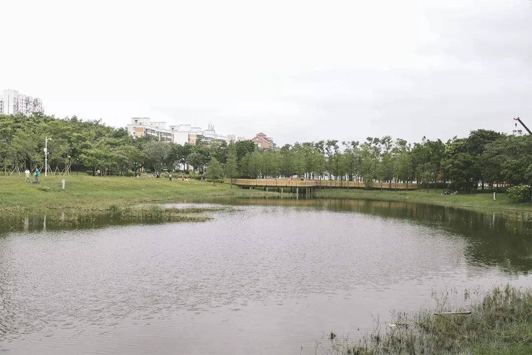 2021深圳免费适合遛娃玩地方排名,深圳免费游玩景点推荐