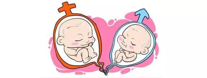 单绒单羊的风险,单绒单羊都有哪些风险