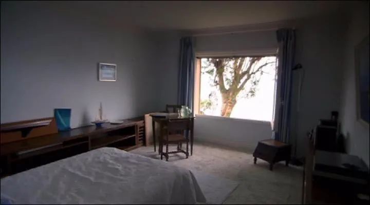 卡拉扬指挥升华之夜,指挥家卡拉扬指挥风格