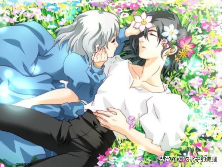 哈尔的移动城堡遇到苏菲,哈尔的移动城堡小清新爱情故事