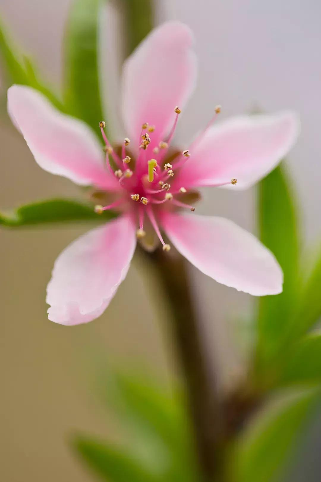 清明去哪儿玩|盘点那些值得打卡的北京周边小众景点！