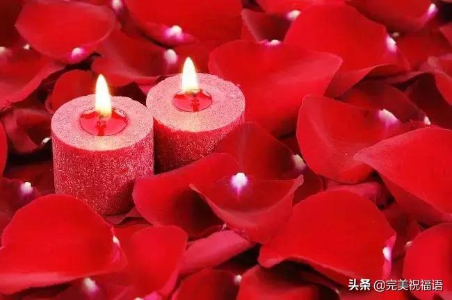 情人节送给情人的情歌,情人节送给情人什么花最好