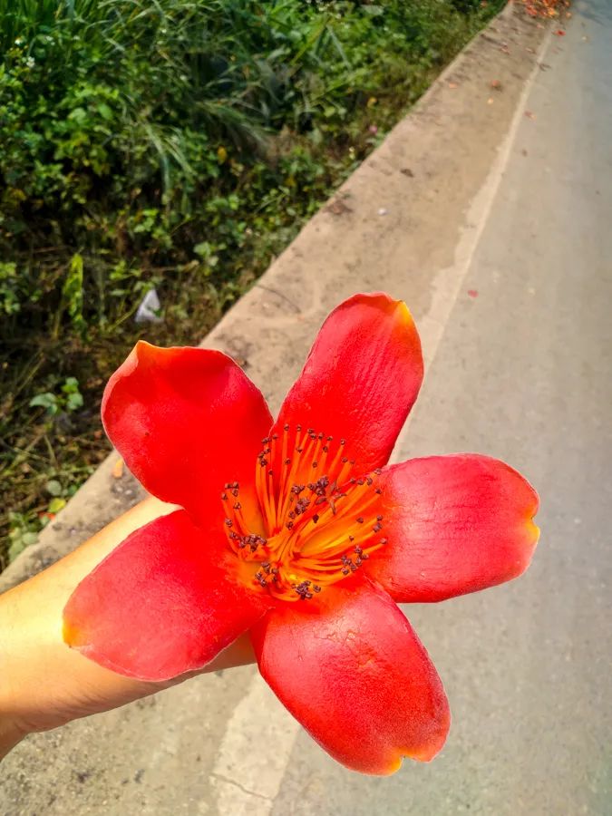 旅行是为了感受不一样的人生百态,旅行最好的状态就是不问归期