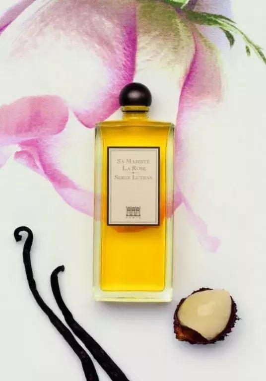 芦丹氏玫瑰陛下在哪里买,芦丹氏玫瑰陛下为什么绝版