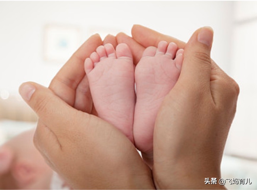 九个月的宝宝怎样培养,九个月宝宝养脾胃最有效的方法