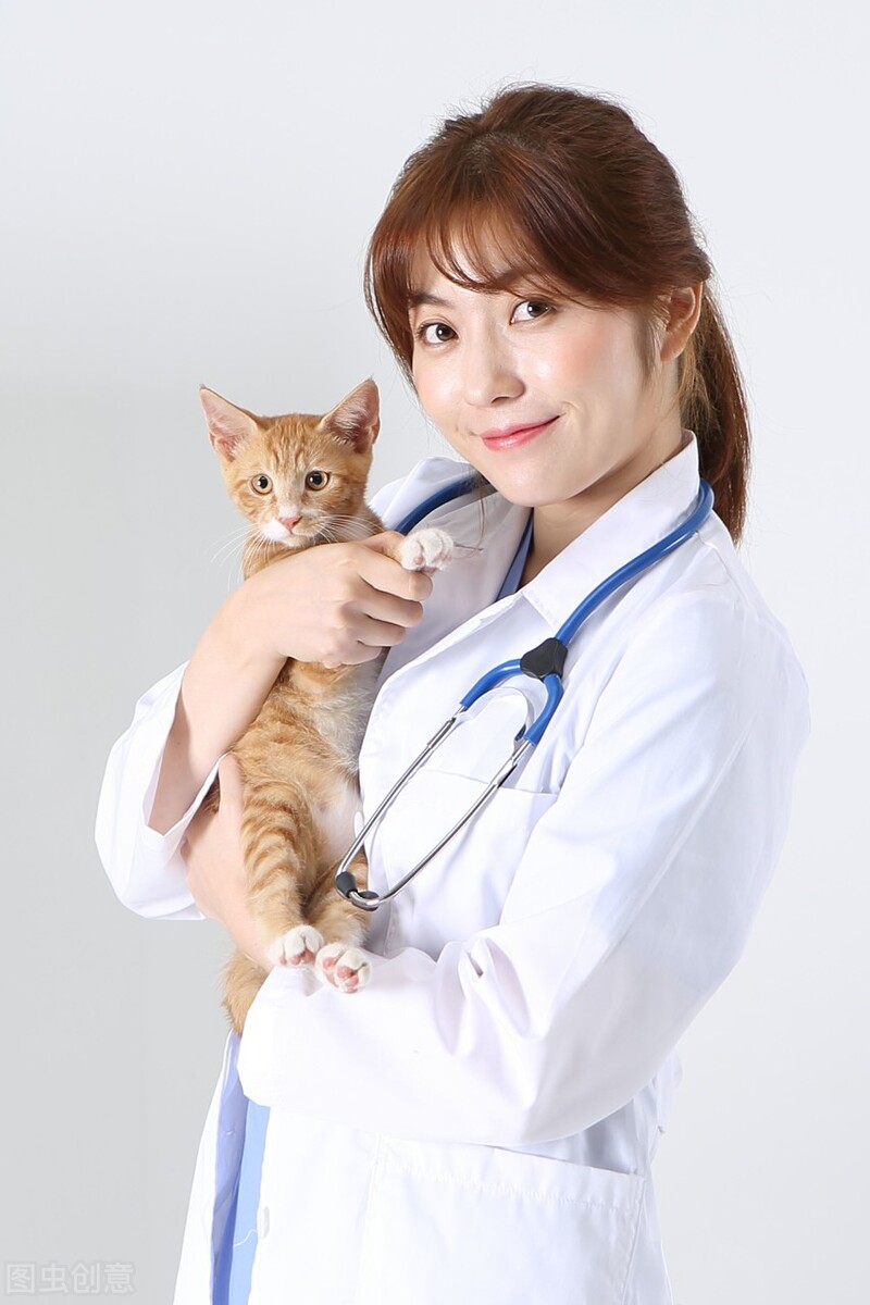 细小病毒会通过什么传染,细小病毒对人的影响