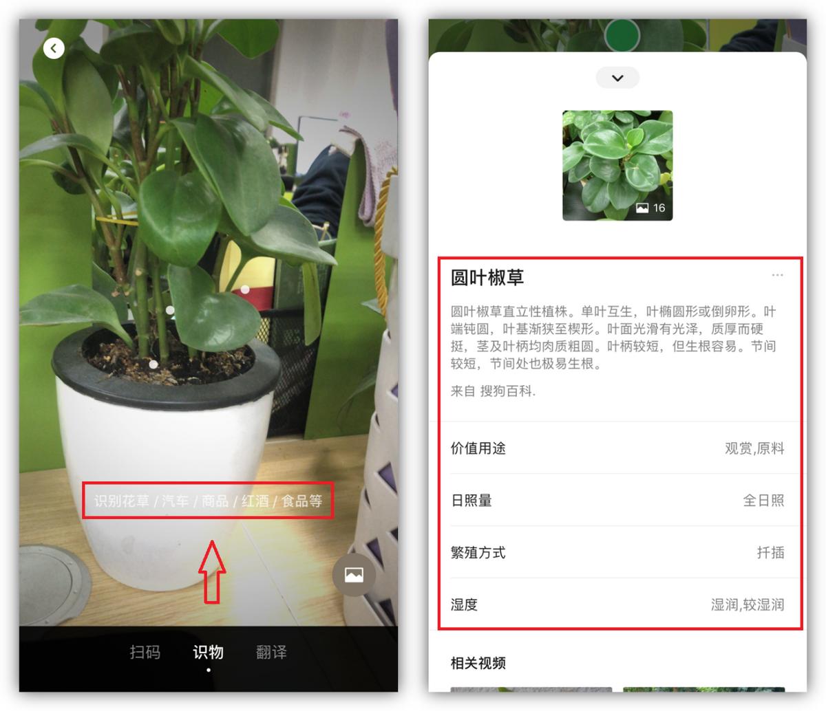 微信右上角的号怎么用,微信右上角加号4个功能