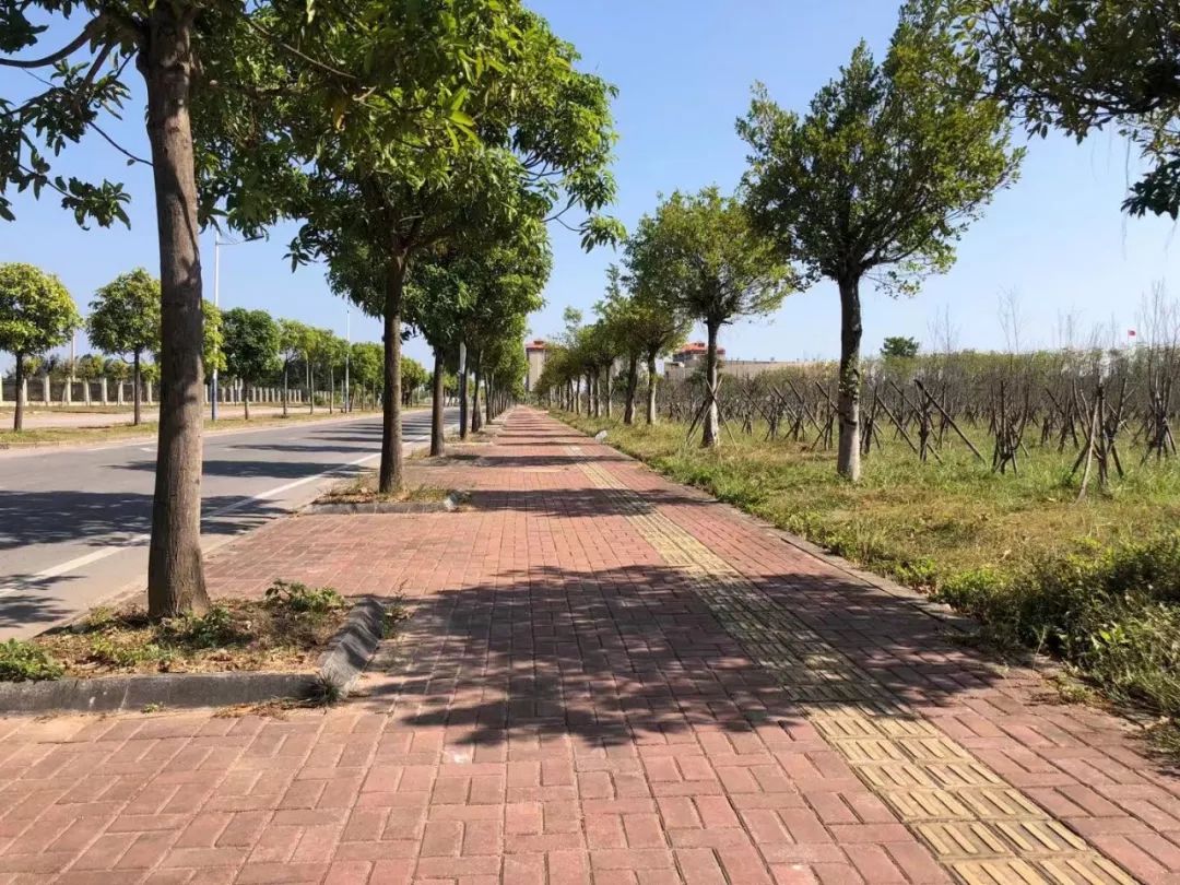 钦州有哪些县城美食,钦州哪些小学有美食