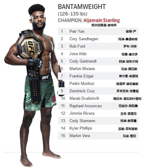 2021ufc重量级排名前十,ufc皱量级大力鼠排名