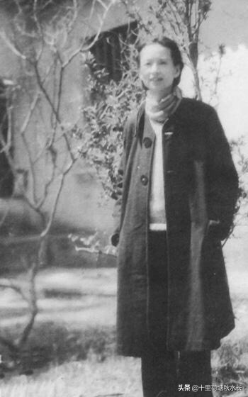 林徽因参与景泰蓝工艺革新了吗,林徽因为何改造景泰蓝