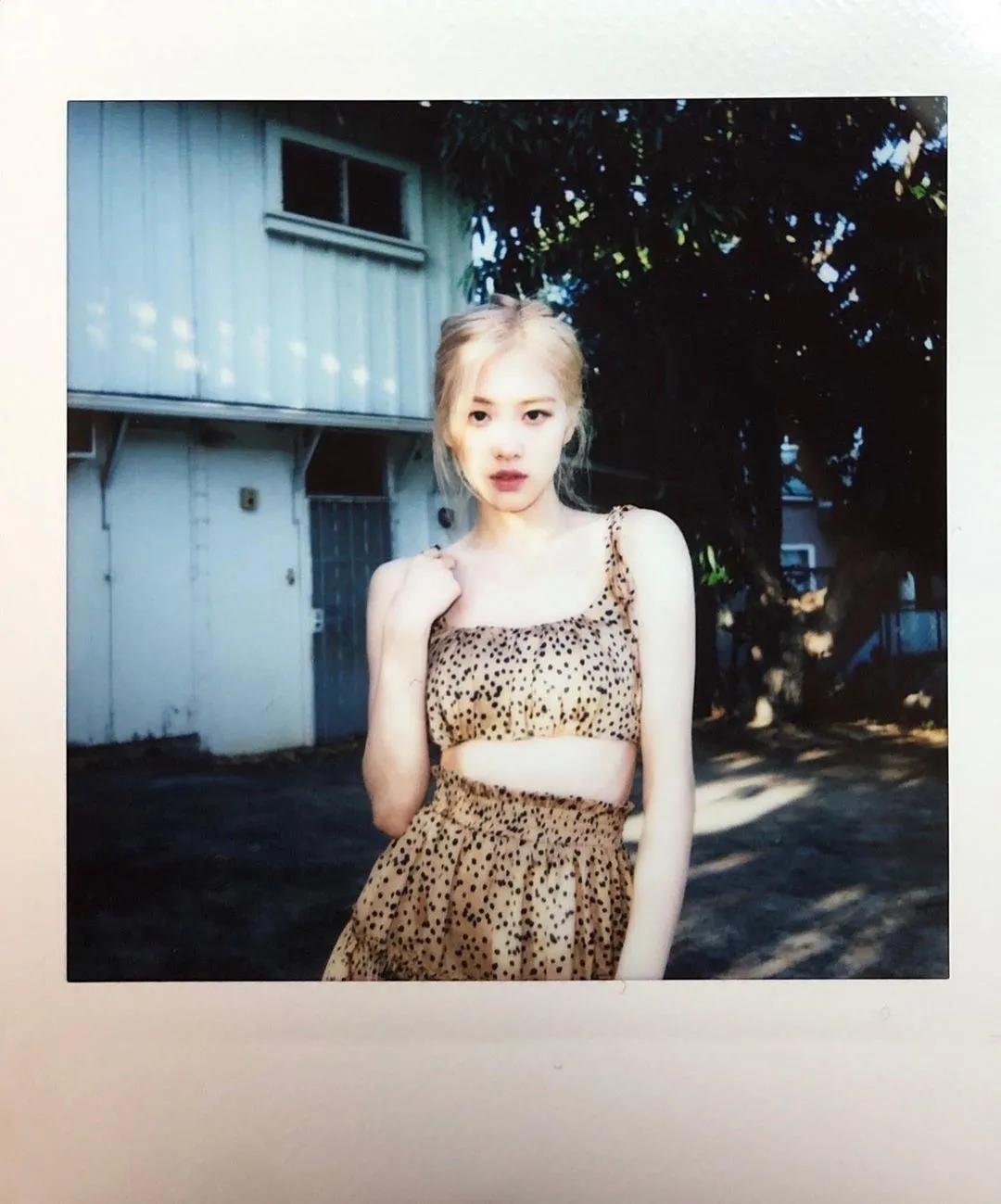 blackpink的朴彩英rosie,blackpink朴彩英澳洲玫瑰歌名