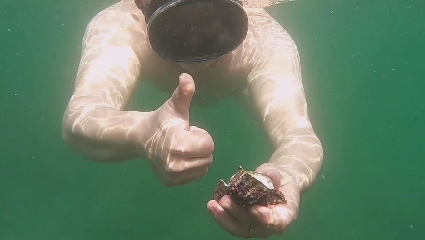 南澳岛看海完整版,南澳岛看海解读