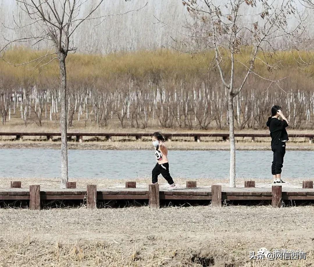 天津新开放的公园,天津水西公园现在恢复开放了吗