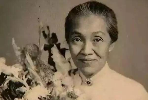 袁隆平接生的那个医生叫什么,袁隆平爷爷的接生医生