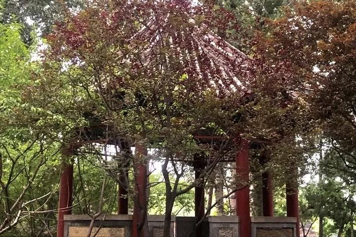 娼炴渤鍥介檯鏁欒偛瀛﹀洯鍏ュ鑰冭瘯,娼炴渤涓鏂扮敓鎶ュ埌