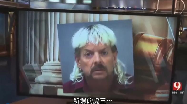 疫情中全美国都在安利这疯子电影