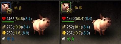 魔兽世界宠物对战字符串怎么用,魔兽世界黑石深渊宠物对战攻略