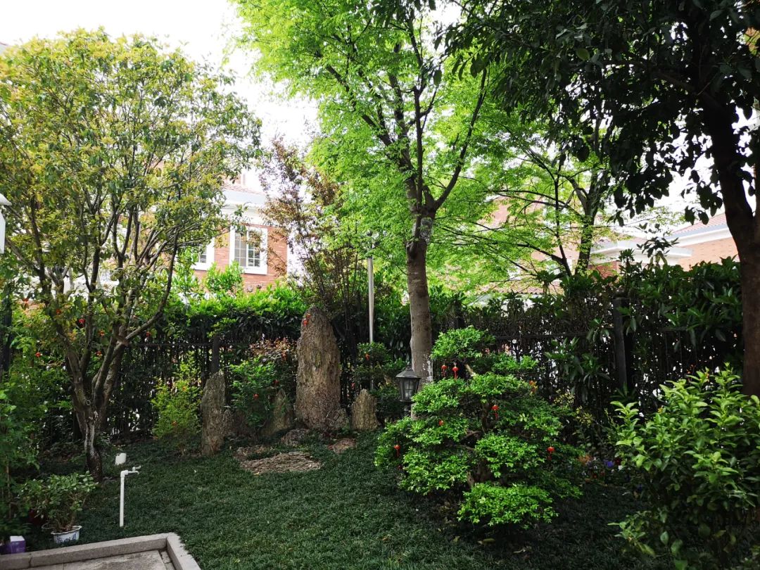 羡慕!快来看看江阴申港街道这些“美丽”榜样