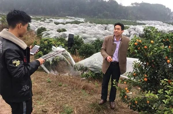 鍐滀紒涓绘挱,鍐滀紒鐩存挱