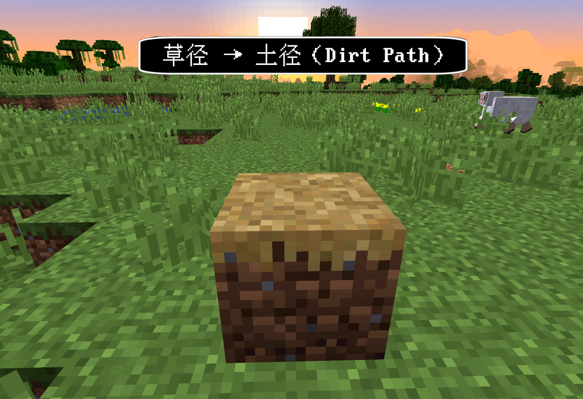 我的世界绵羊简介,我的世界山羊角是什么时候加入的