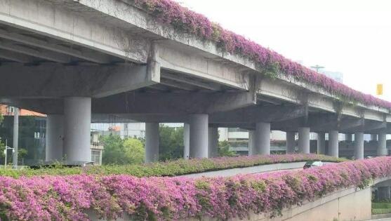 专家认定大桥不合格,广州鹤洞大桥现状