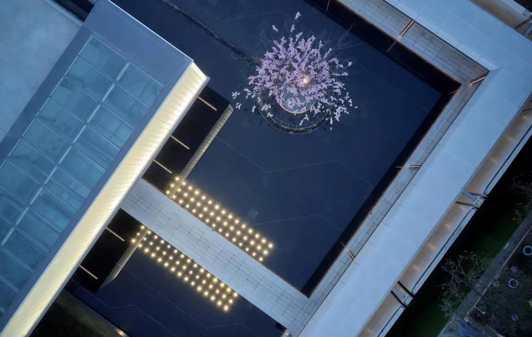 龙泉4大冷门赏桃线路出炉，向东60里遇见一座城市桃花源！